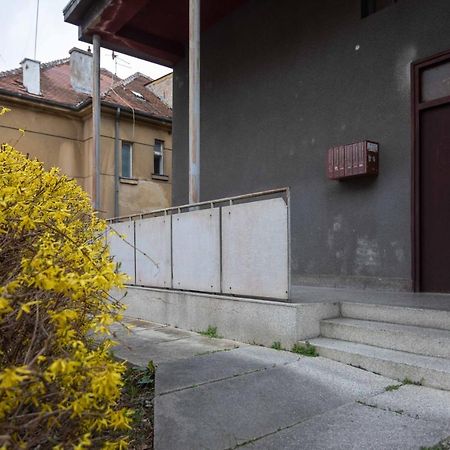 Apartament Modern Studio Near British Square Zagrzeb Zewnętrze zdjęcie